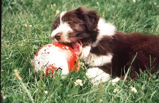 s_0010 Benni.JPG