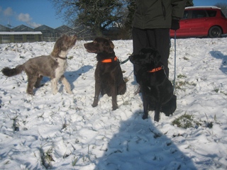 s_0043 Benni 2008.jpg