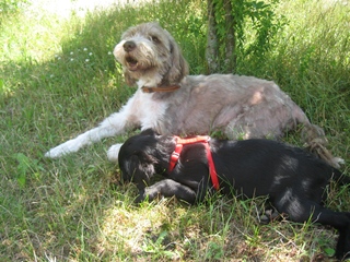 s_0072 Benni & Yuna.jpg