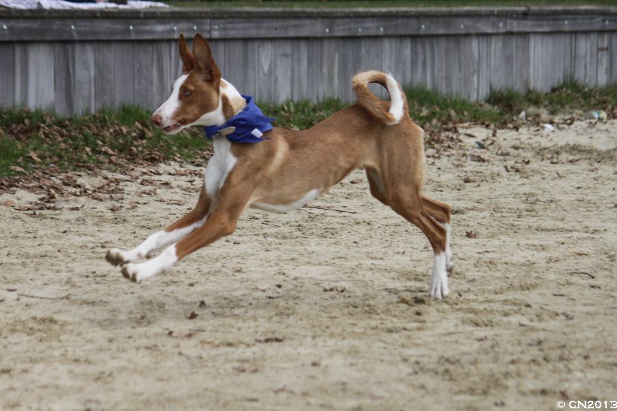 900_IMG_1264.jpg
