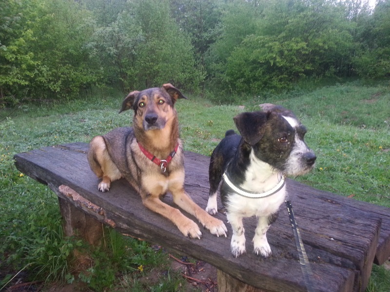 letzte Bilder Cooper 030.jpg