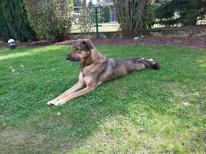 letzte Bilder Cooper 004.jpg