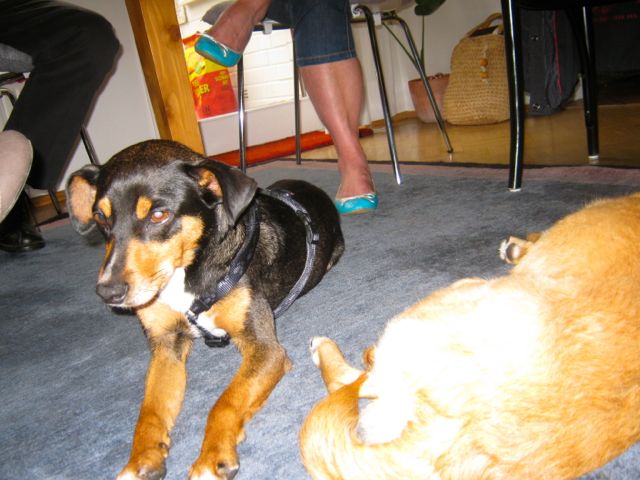 Bild 16.jpg