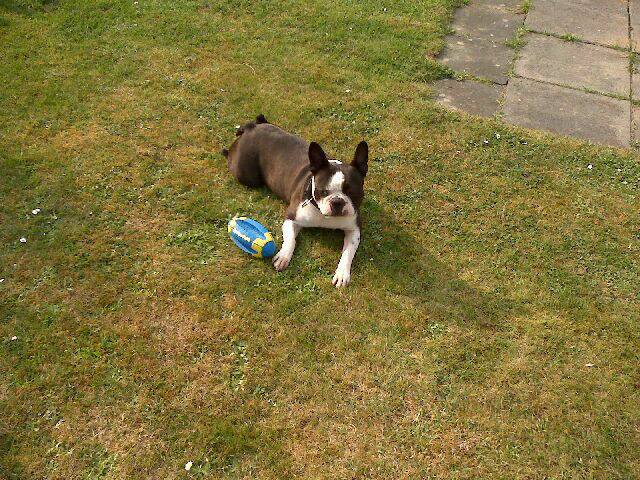 Achtung die Ausgangsstellung - ganz harmlos und uninteressiert schaun......