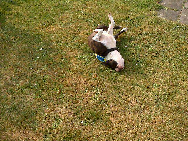 Und jetzt wird gerubbelt, was das zeugs hält