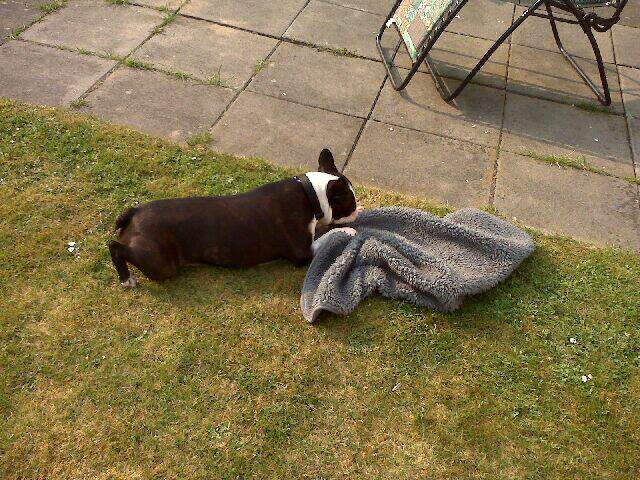 Geht es mir nicht gut ?????<br />Ich bin glücklich