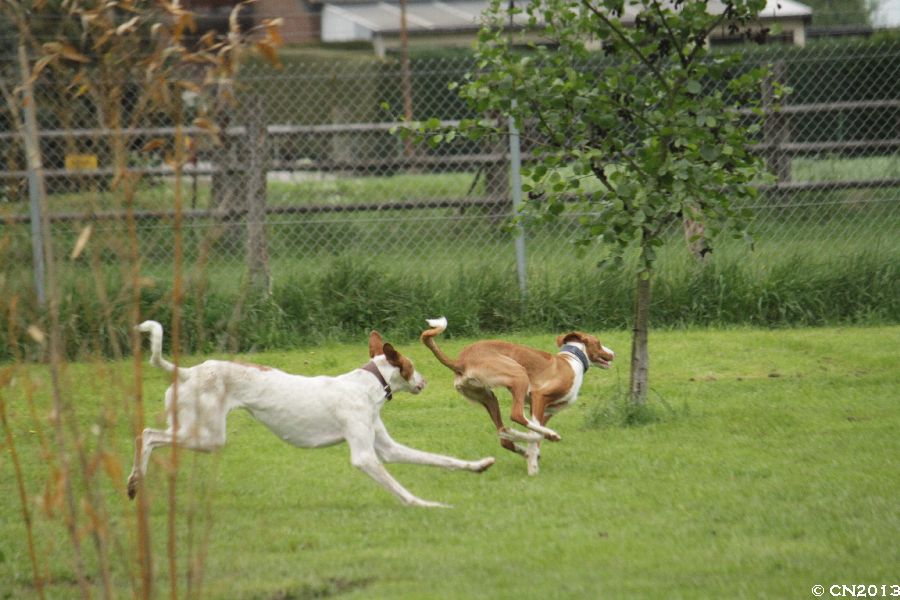 900_IMG_2108.jpg