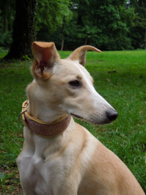 DSCN7190klein.jpg