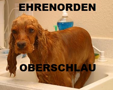 oberschlau.jpg