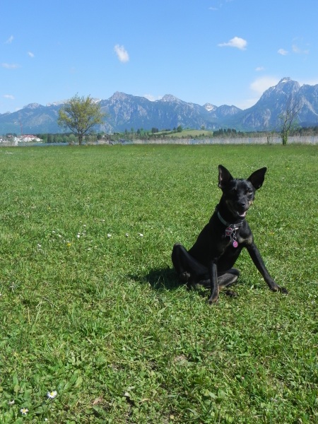 DSCN6465.jpg