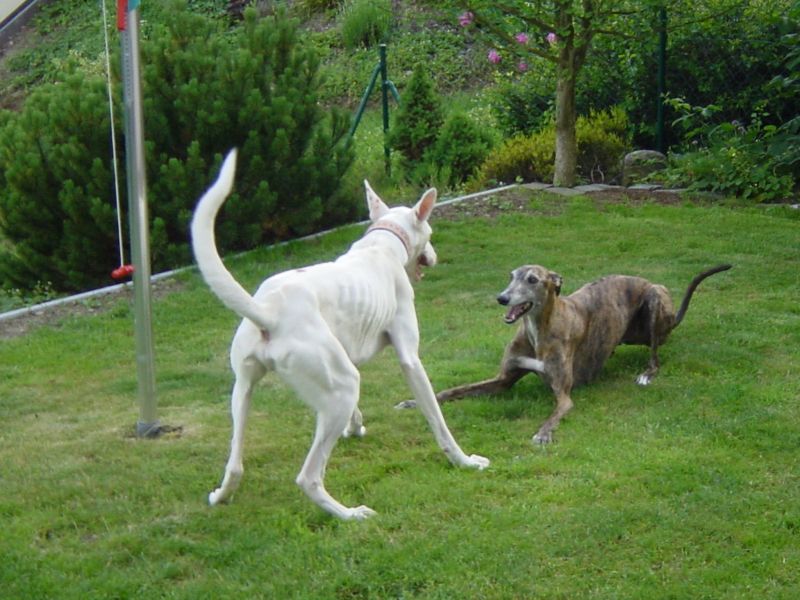 Tufan 2.jpg