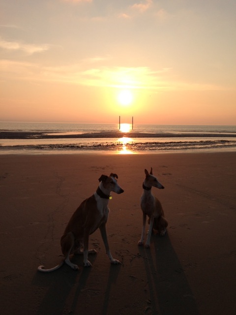 Sonnenuntergang.jpeg