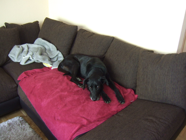 DSCF2093.JPG