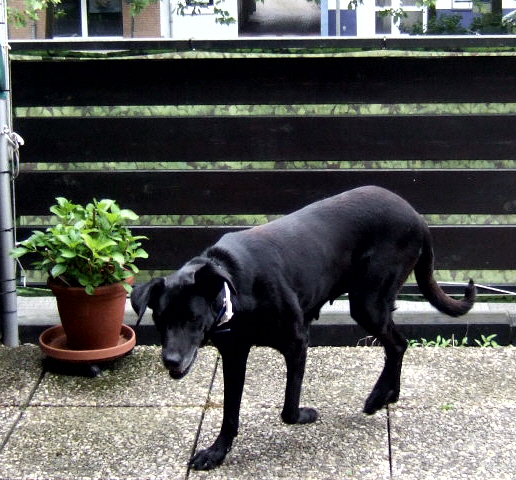 DSCF2087.JPG
