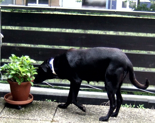 DSCF2086.JPG