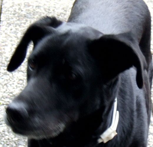 DSCF2084.JPG