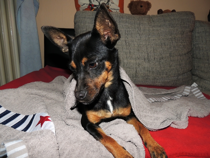 DSCN1831.JPG