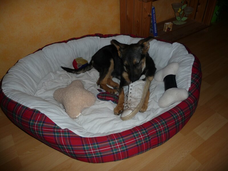 P1000805.jpg