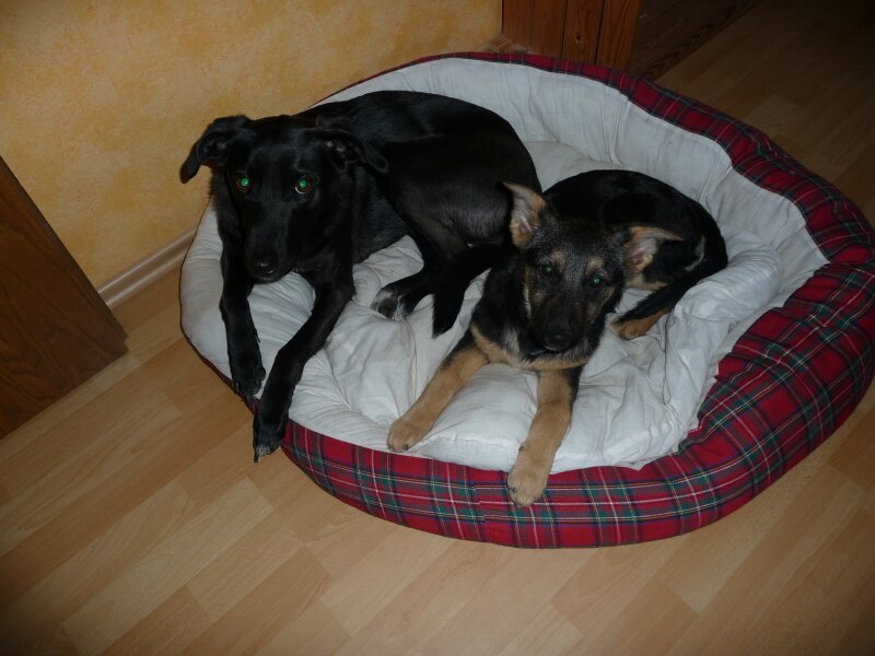 P1000814.jpg