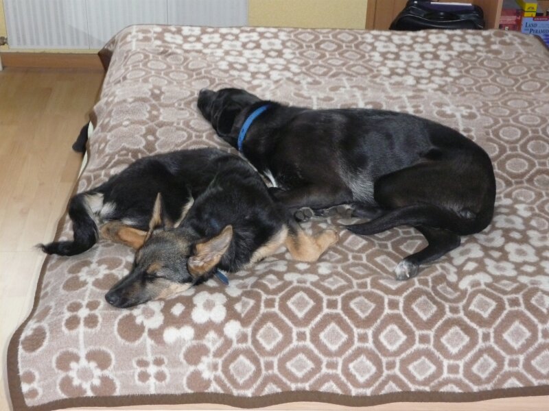P1000836.jpg