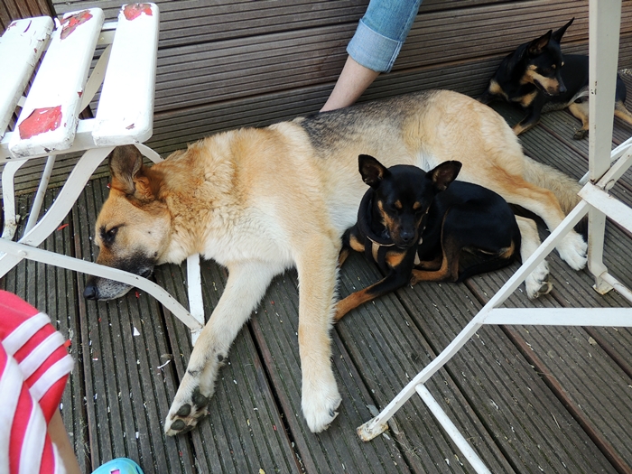 DSCN2063.JPG