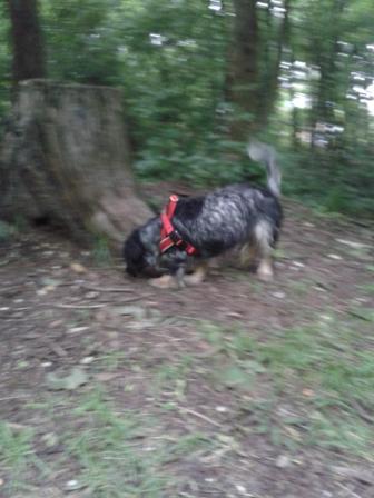 20130609_170936.jpg