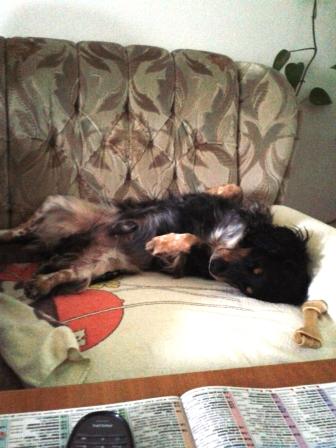 20130609_201214.jpg