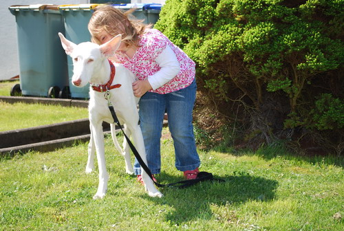 DSC_0587.jpg