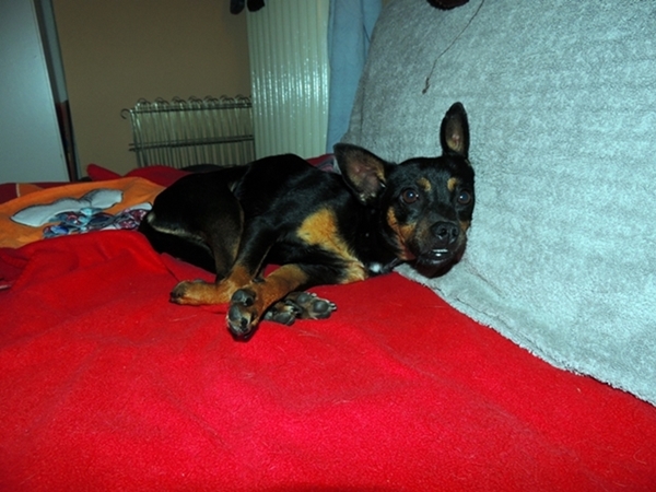 DSCN2223.JPG