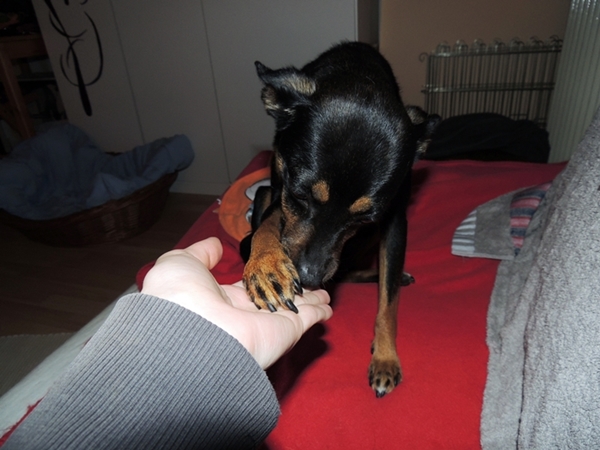 DSCN2225.JPG