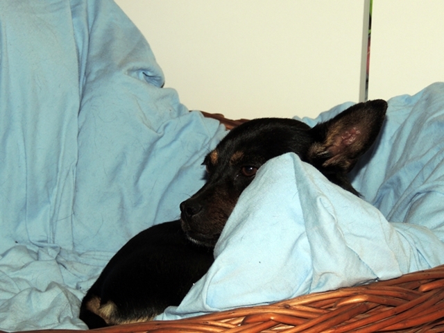 DSCN2228.JPG