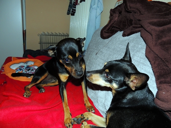 DSCN2229.JPG