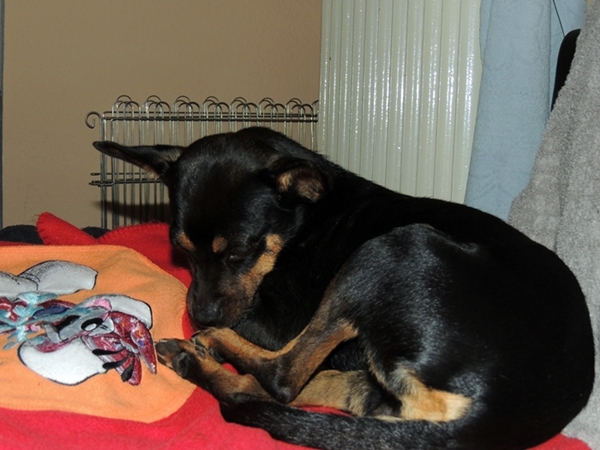 DSCN2230.JPG