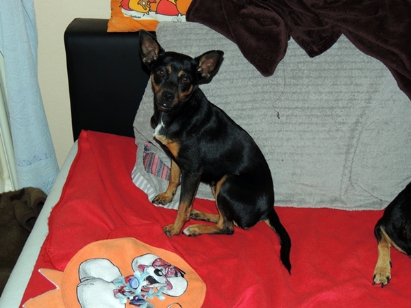 DSCN2233.JPG