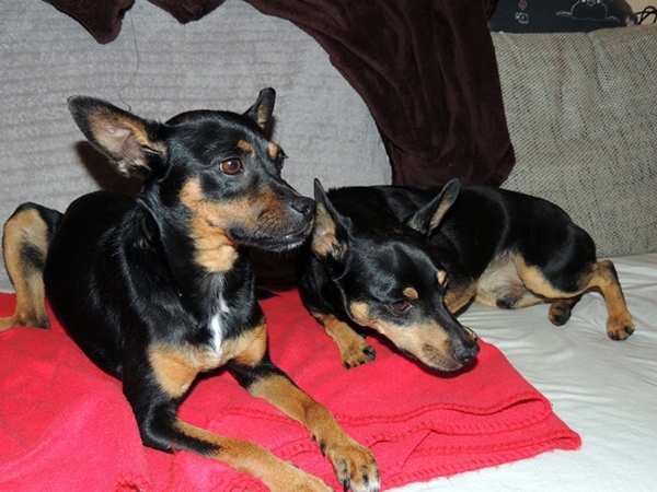 DSCN2235.JPG