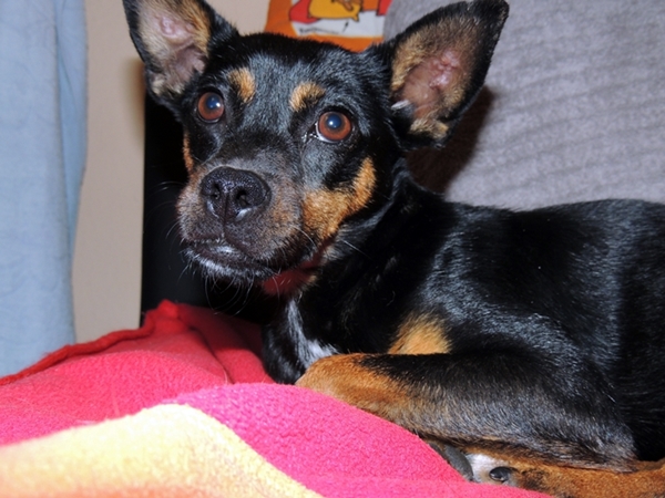 DSCN2236.JPG