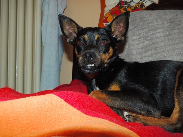 DSCN2242.JPG