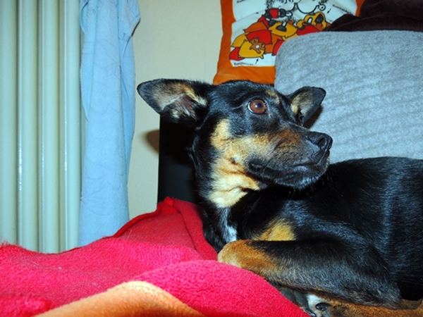 DSCN2243.JPG