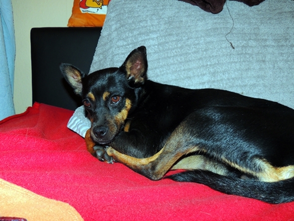 DSCN2246.JPG