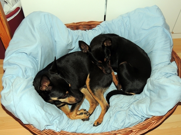 DSCN2260.JPG