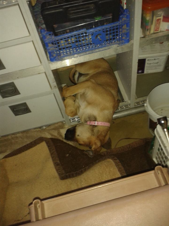 Zur Not kann sie sich auch platzsparend im Schrank verstauen...