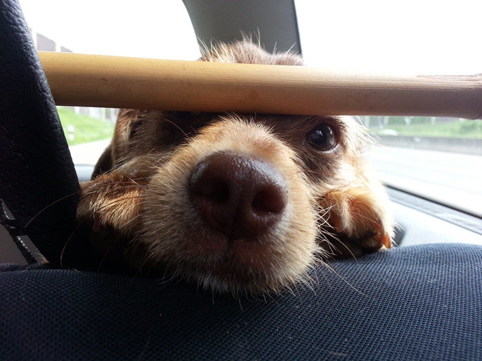 20130615_155111.jpg