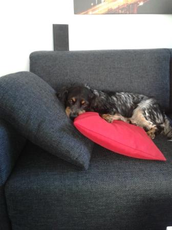 20130616_180456.jpg