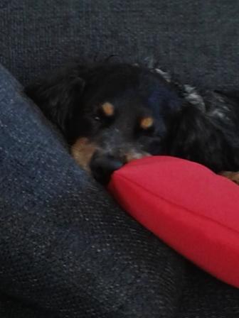 20130616_180611.jpg