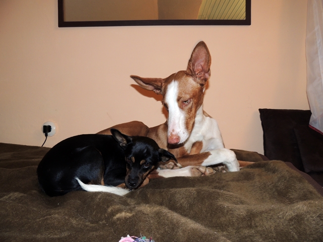 DSCN2545.JPG