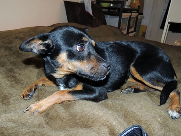 DSCN2552.JPG