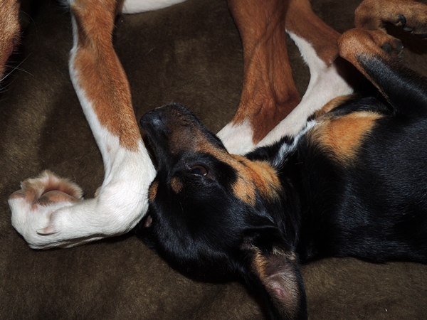 DSCN2553.JPG