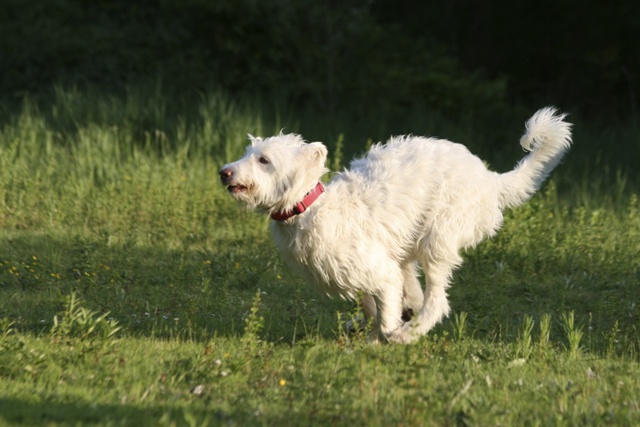 Jippieeee - auf zu Familie Muckie (wer Rütter gesehen hat, weiß wen wir meinen)
