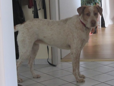 blanca4.jpg