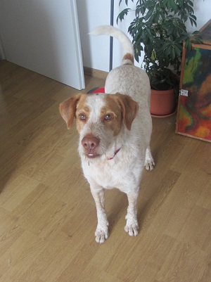 blanca5.jpg
